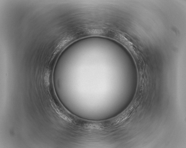 X0000116020106200911201242