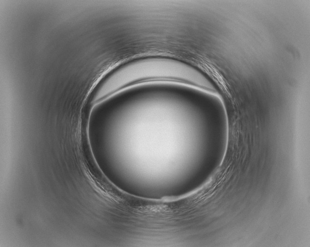 X0000116020108200911201242