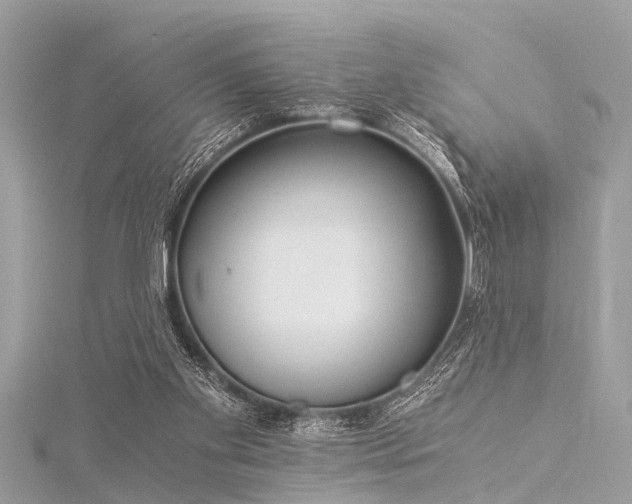 X0000116020109200911201242