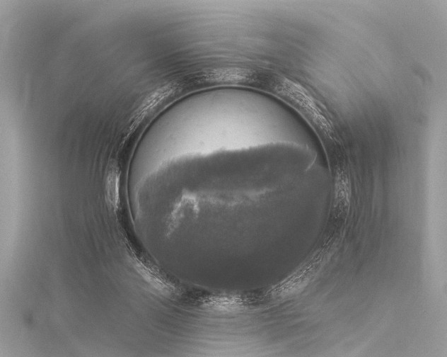 X0000116020110200911201242