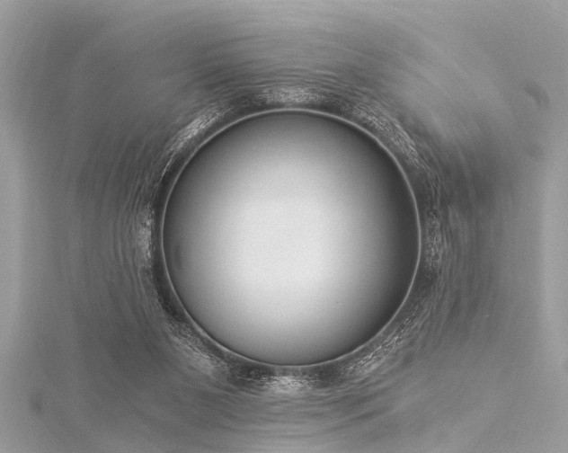 X0000116020111200911201242