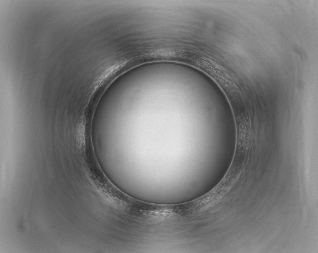 X0000116020112200911201242