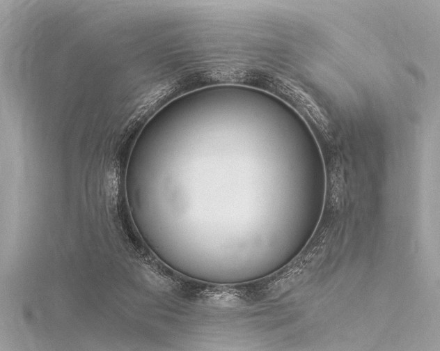 X0000116020113200911201242