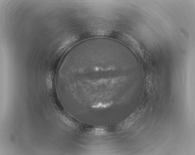 X0000116020114200911201242