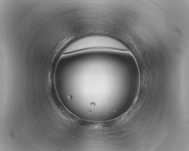 X0000116020116200911201242