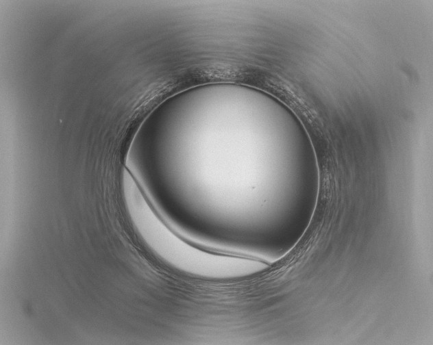 X0000116020117200911201242