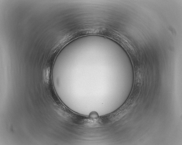 X0000116020118200911201242