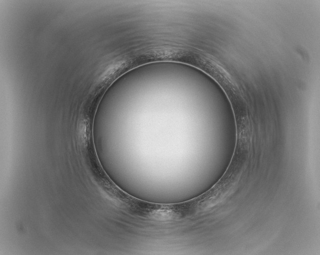 X0000116020119200911201242