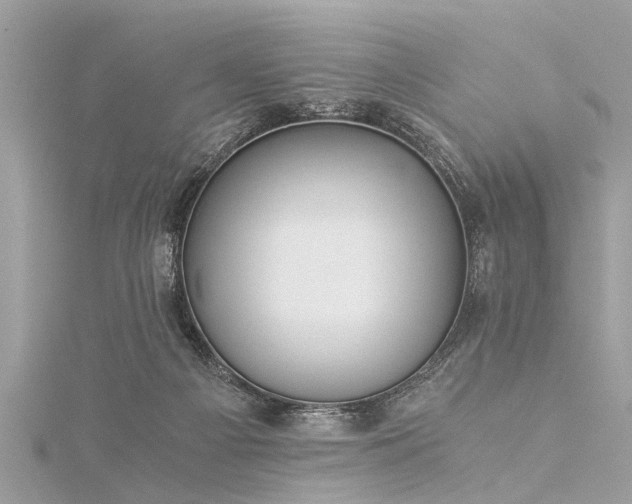 X0000116020121200911201242