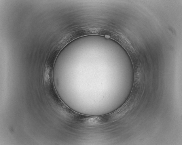 X0000116020122200911201242