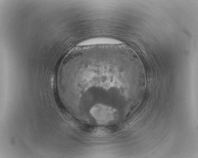 X0000116020123200911201242