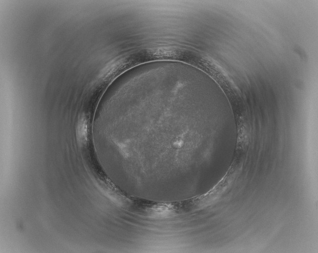 X0000116020124200911201242