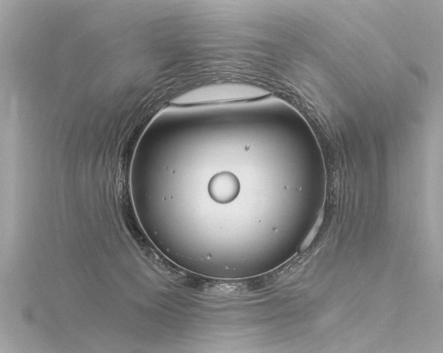 X0000116020129200911201242