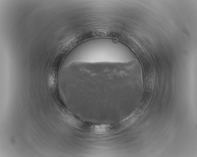 X0000116020134200911201242