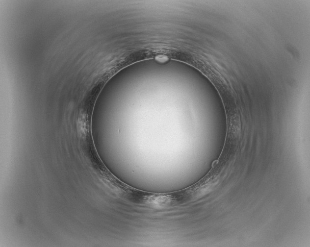 X0000116020135200911201242