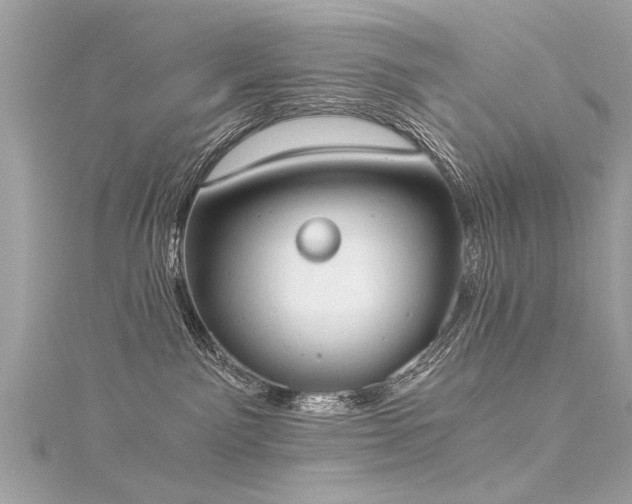 X0000116020141200911201242