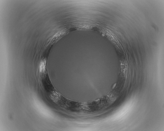 X0000116020143200911201242