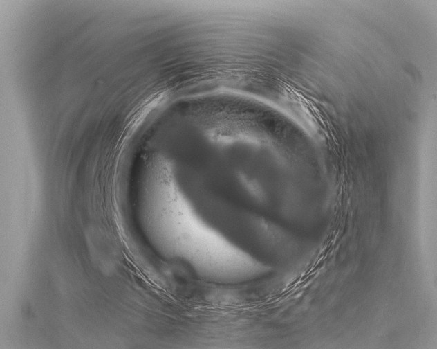 X0000116020145200911201241