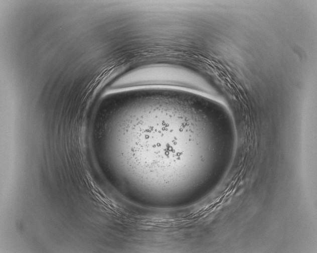 X0000116020146200911201241