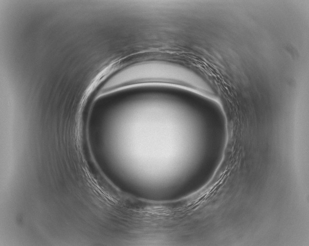 X0000116020150200911201241