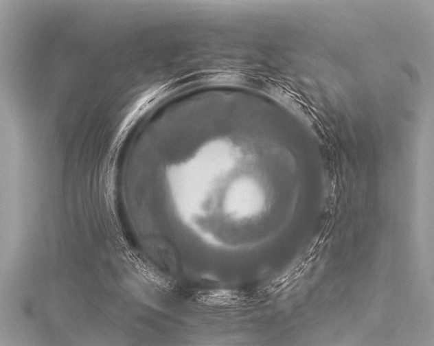 X0000116020151200911201241