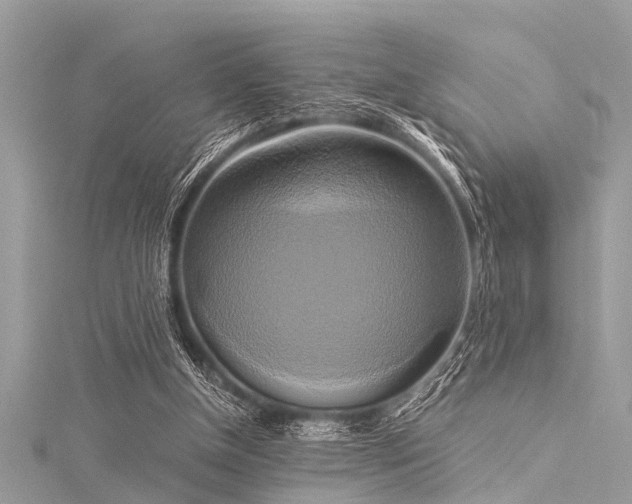 X0000116020154200911201241