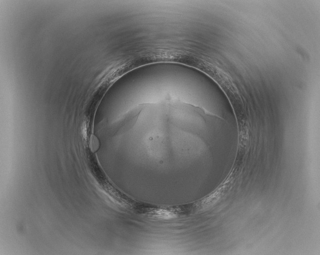 X0000116020166200911201242