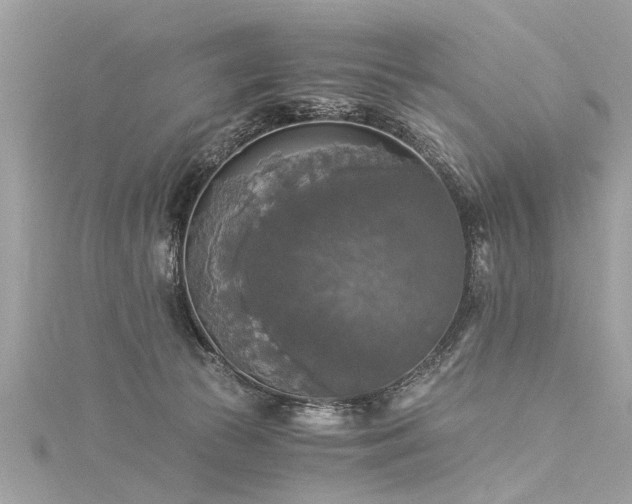 X0000116020177200911201242