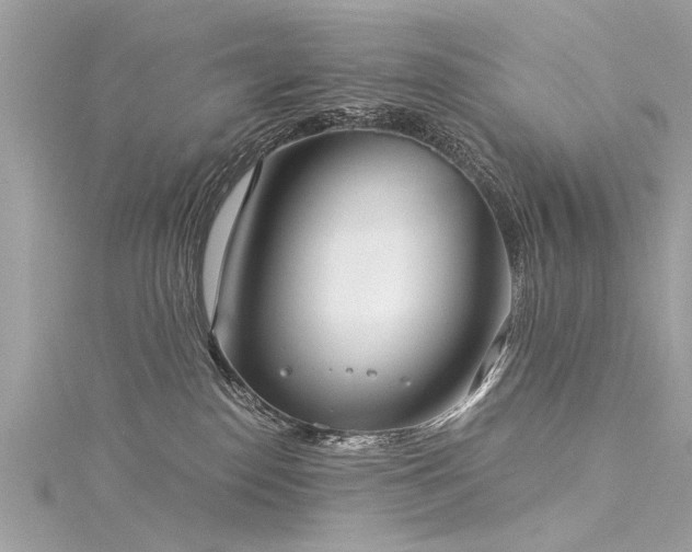 X0000116020186200911201242