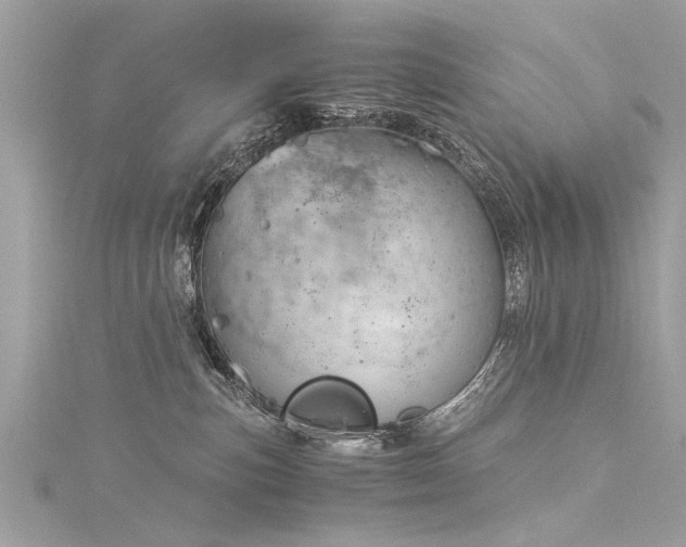 X0000116020187200911201242