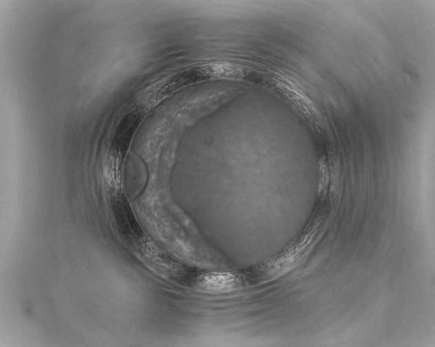 X0000116020189200911201242