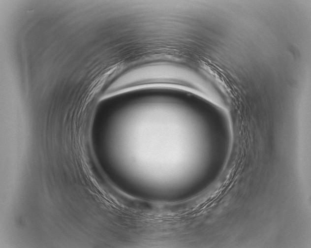 X0000116020193200911201241