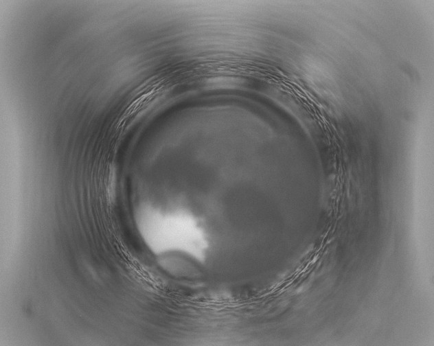 X0000116020194200911201241