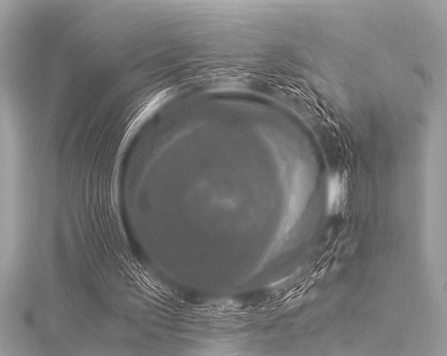 X0000116020195200911201241