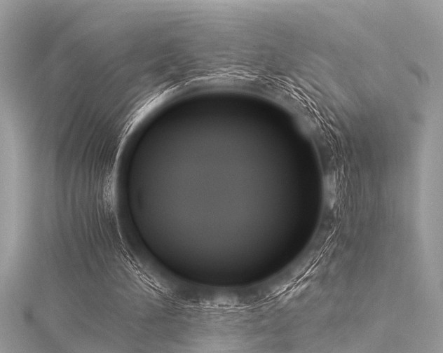 X0000116020196200911201241