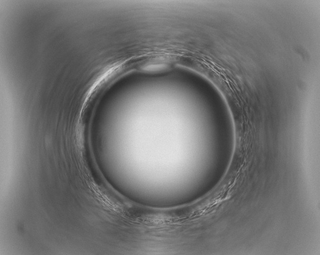 X0000116020197200911201241