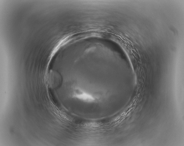 X0000116020198200911201241