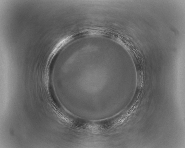 X0000116020199200911201241