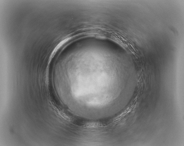 X0000116020200200911201241