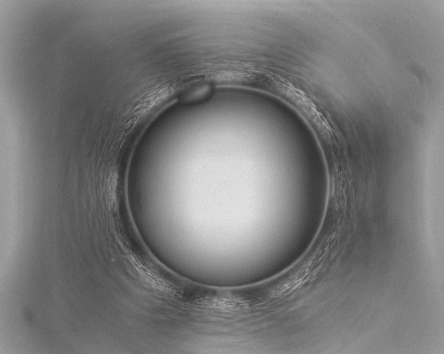 X0000116020201200911201241