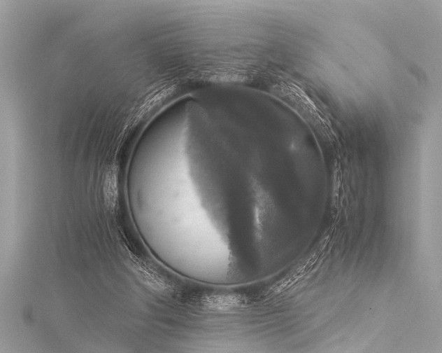 X0000116020202200911201241