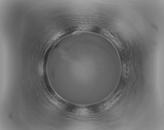 X0000116020203200911201241