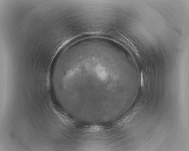 X0000116020204200911201241