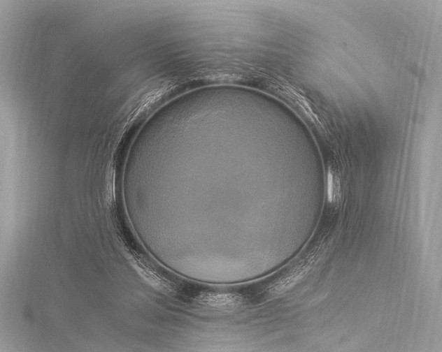 X0000116020205200911201241