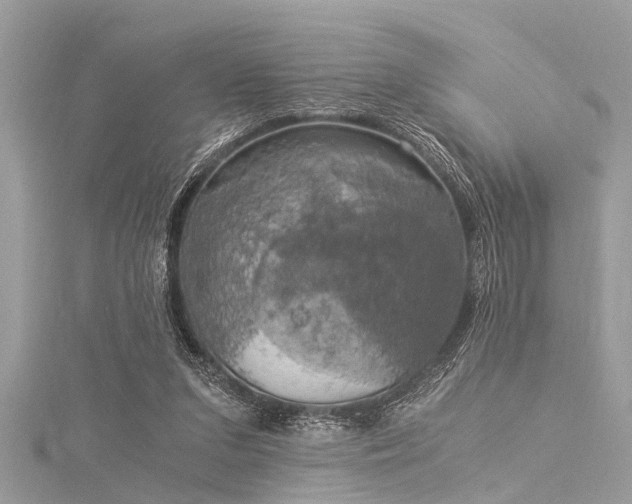 X0000116020207200911201241