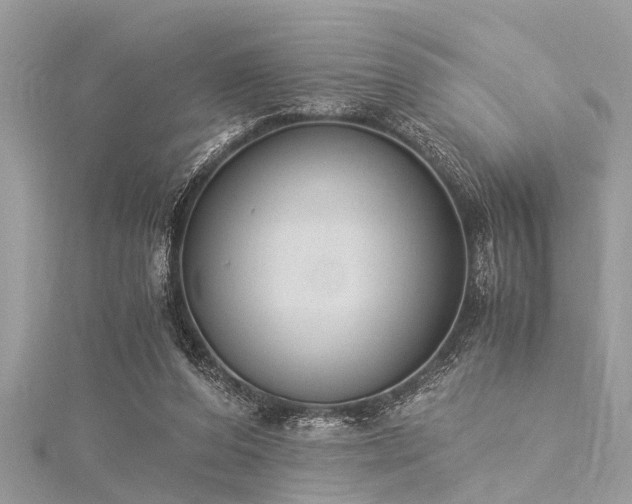 X0000116020208200911201241