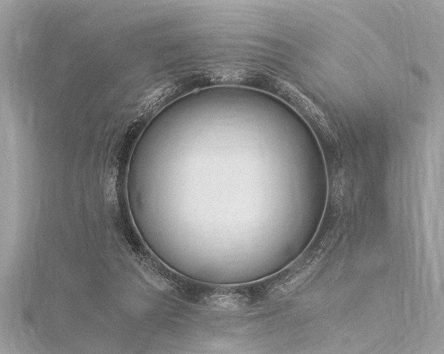 X0000116020209200911201241