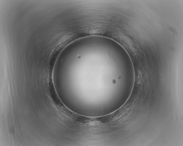 X0000116020210200911201241