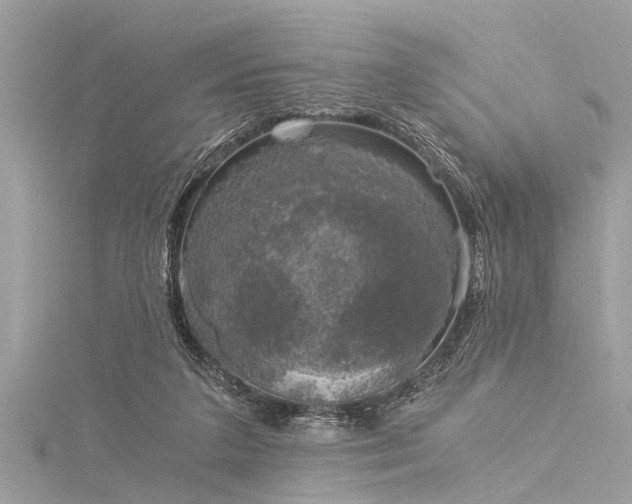 X0000116020211200911201241