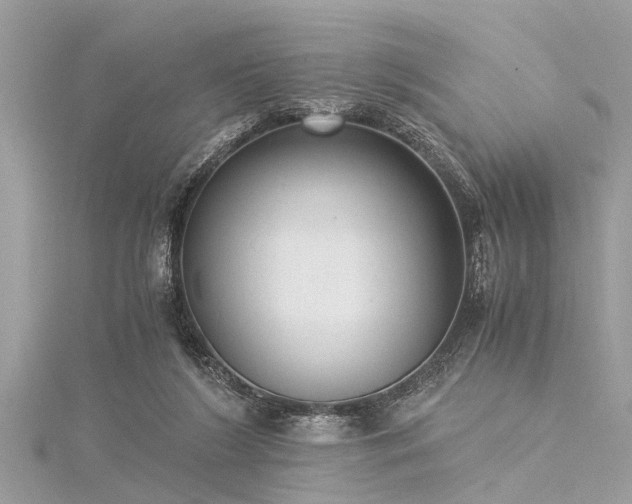 X0000116020212200911201241